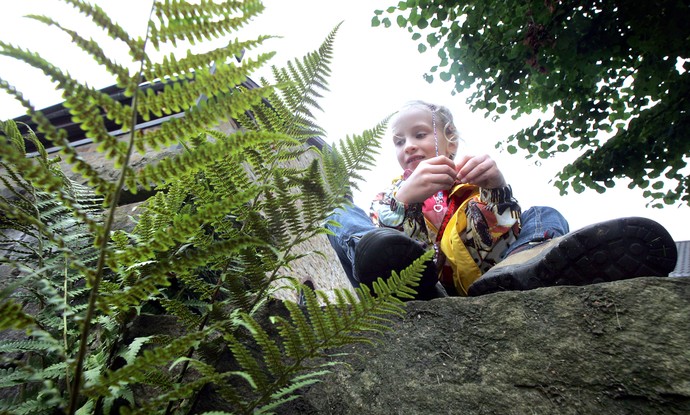 Mädchen im Schneidersitz zwischen grünen Pflanzen Mädchen im Schneidersitz zwischen grünen Pflanzen